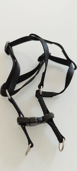 Due pettorine per cani di piccola taglia