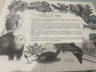 Album cromos Vida y Color