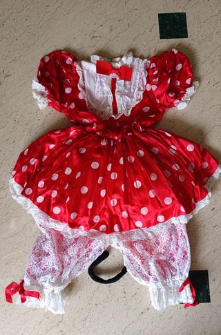 Costume carnevale Minnie