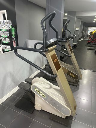 step profesional technogym