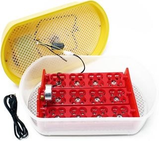 Incubadora automática Capacidad para 12 Huevos, In