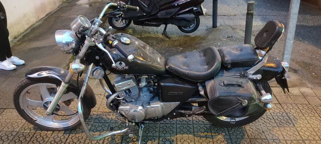 Leonart regal raptor custom