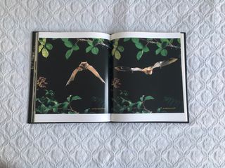 libro Naturaleza en accion