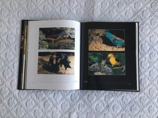 libro Naturaleza en accion