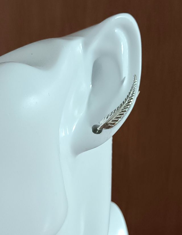 Pendientes trepadores de plata