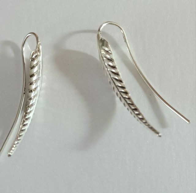 Pendientes trepadores de plata