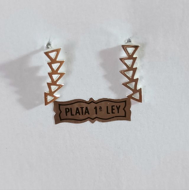 Pendientes trepadores de plata de ley