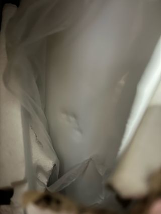 Termo eléctrico 100 litros NUEVO