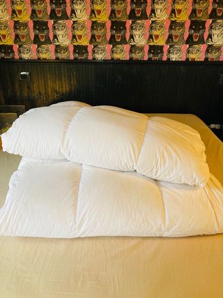 PIUMINI D’ANATRA -SINGOLI-