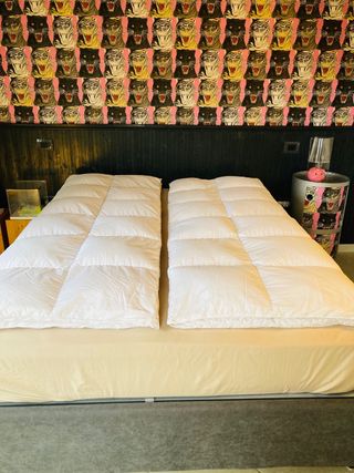 PIUMINI D’ANATRA -SINGOLI-