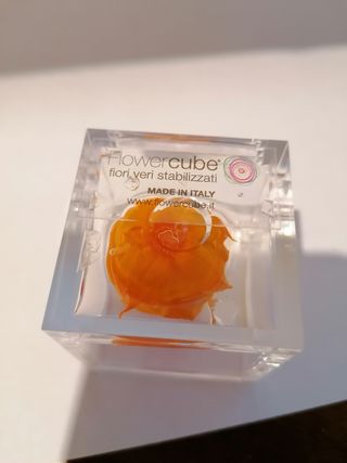 Cubo Rosa Stabilizzata Arancione Profumata da 5 cm