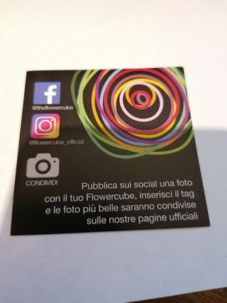 Cubo Rosa Stabilizzata Arancione Profumata da 5 cm