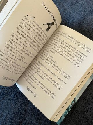 Perdona pero quiero Casarme contigo