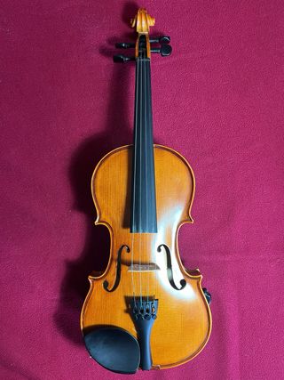 Violin de estudio