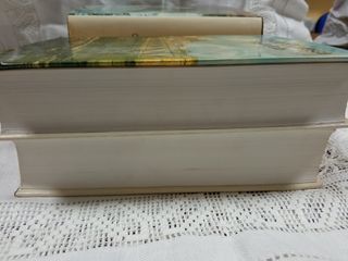 La novela picaresca española