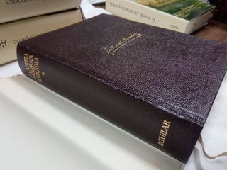 La novela picaresca española