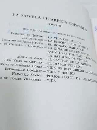 La novela picaresca española