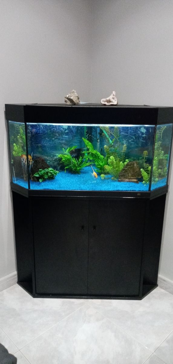Acuario esquina