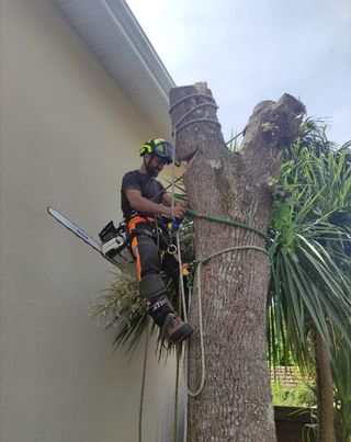 Jardinero particular