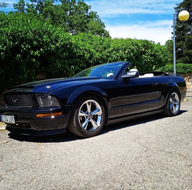 Bellissimo noleggio American Mustang