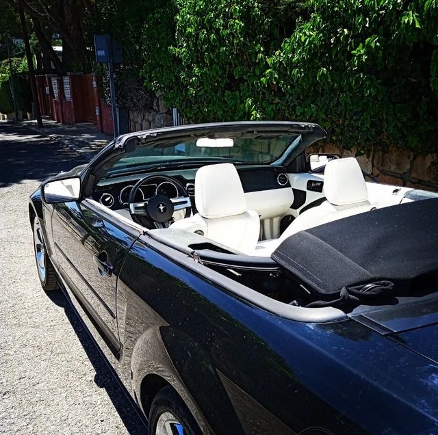 Bellissimo noleggio American Mustang