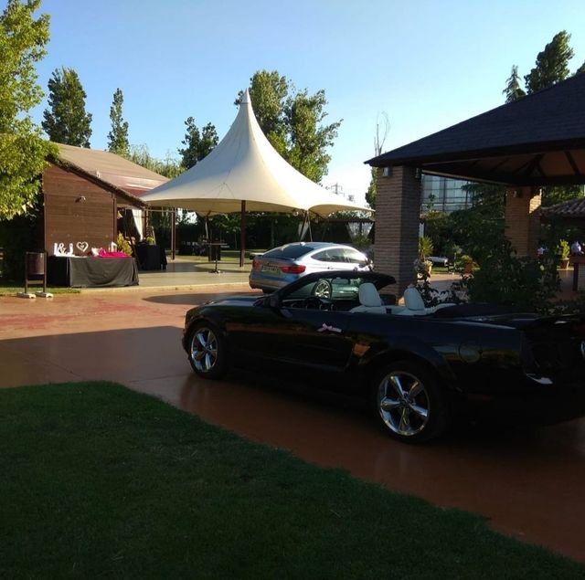 Bellissimo noleggio American Mustang