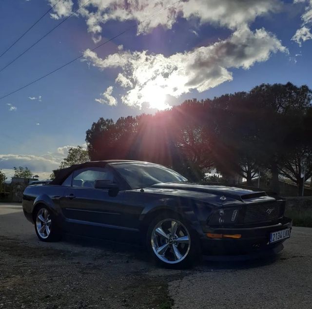 Bellissimo noleggio American Mustang