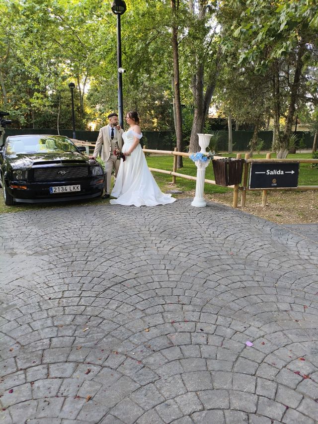 Bellissimo noleggio American Mustang