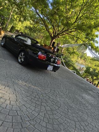 Alquiler Precioso Mustang Americano
