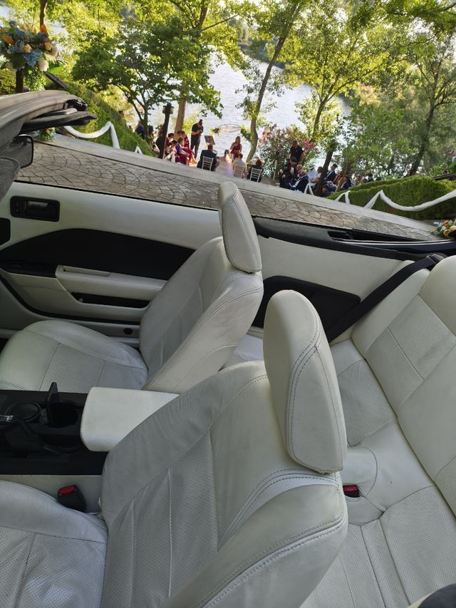 Bellissimo noleggio American Mustang