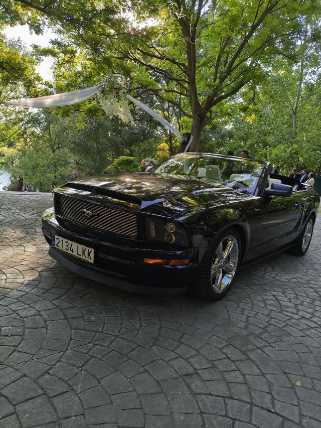 Bellissimo noleggio American Mustang