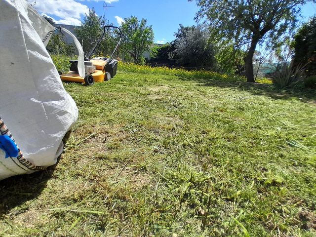 Jardinero económico