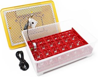 Incubadora automática Capacidad para 24 Huevos, In