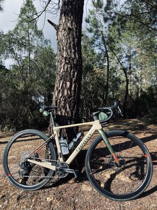 WILIER TRIESTINA RAVE SLR (talla XS)