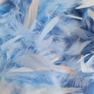 boa di piume azzurro