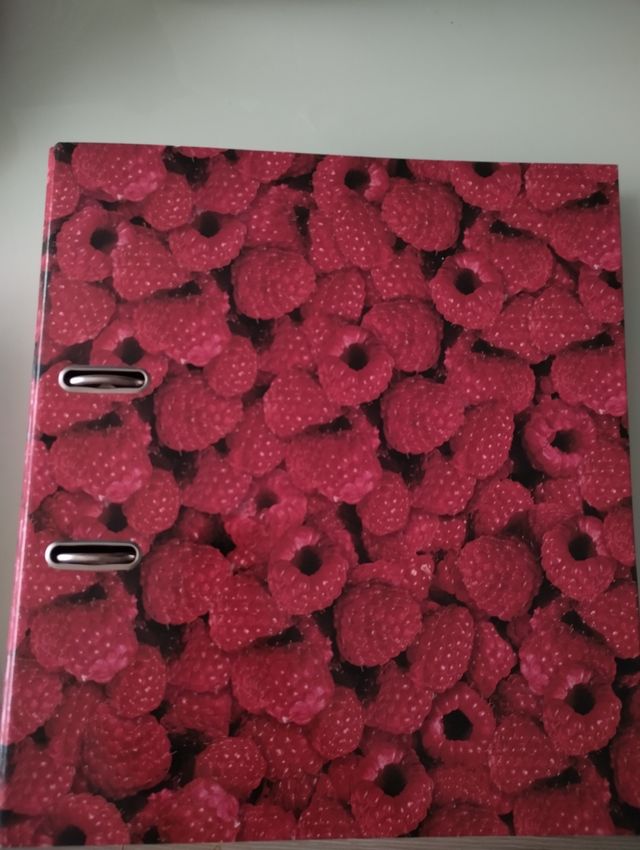 Archivador frambuesas