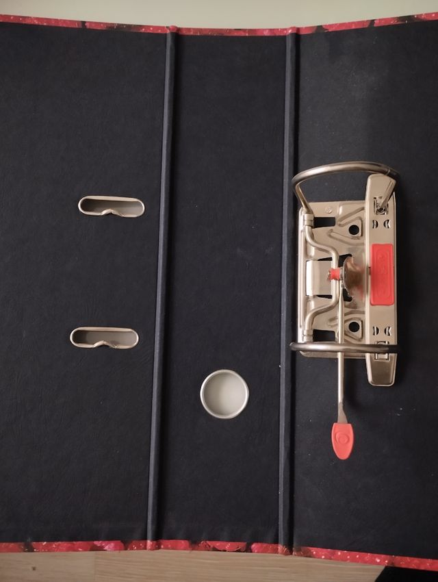 Archivador frambuesas