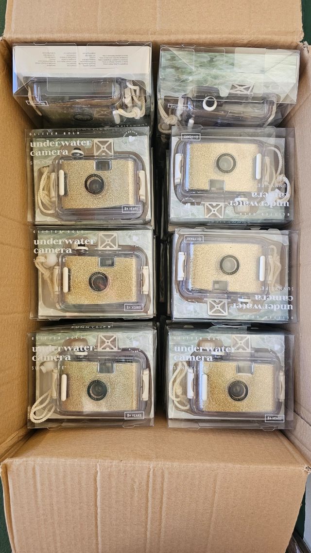 Oportunidad Lote camaras de fotos