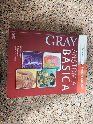 Anatomía básica Gray