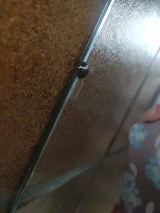 Espejo