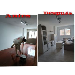 Albañil profesional 