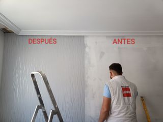 Albañil profesional 