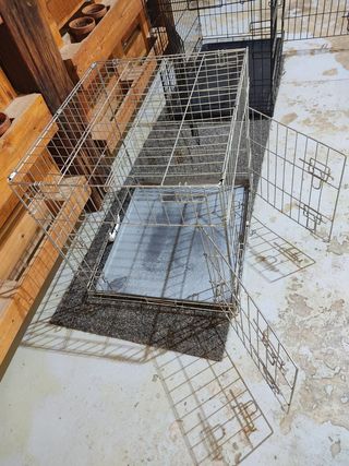 Transportin para perro