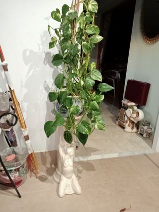 Pie para maceta en ceramica