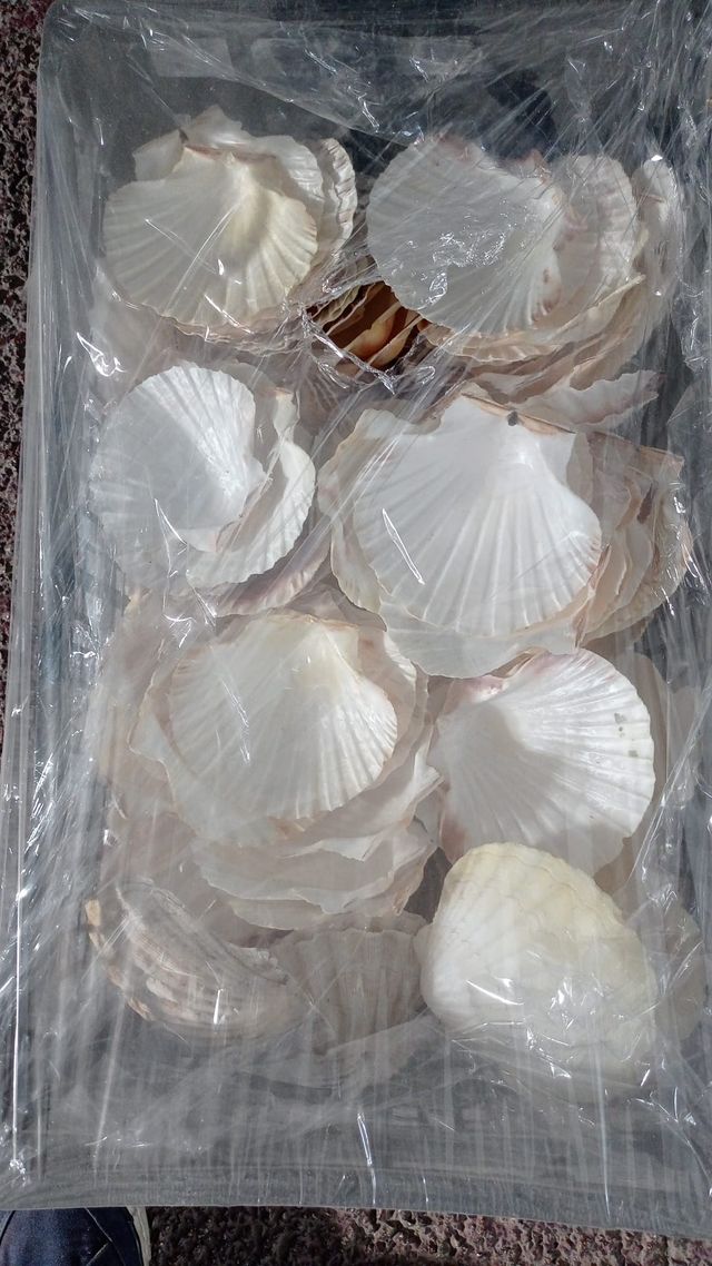 Decorazioni e articoli per eventi