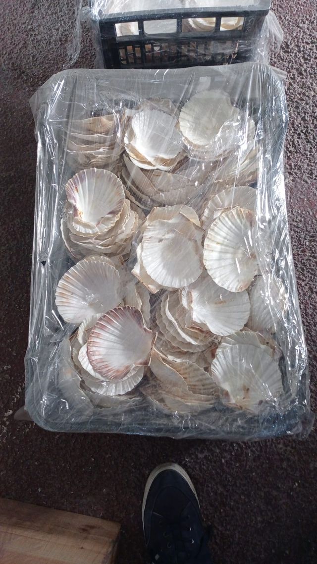 Decorazioni e articoli per eventi