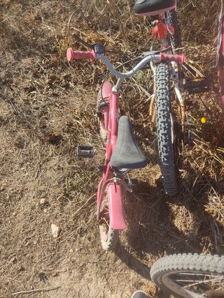 Bicicleta de 3 a 7 años de niño 
