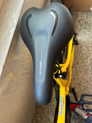 Bicicleta eléctrica trekking Riverside 100 E