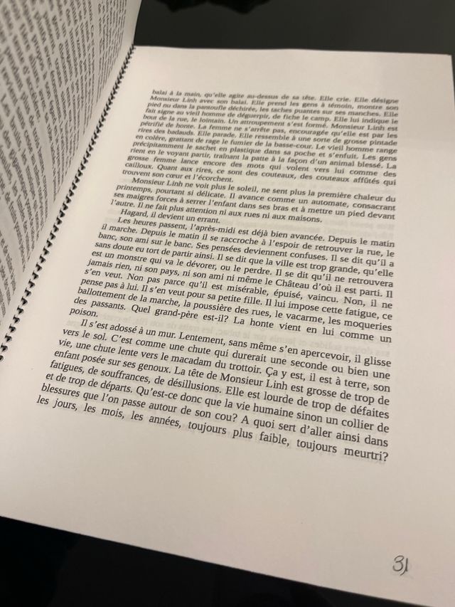 La petite fille de Monsieur Linh