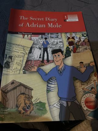 The secret diary of adrian